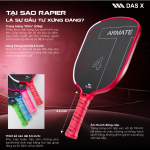 vợt Pickleball- PLUSX ARMATE T4