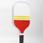 Vợt Pickleball DAS X X2