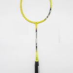 Vợt Cầu Lông Yonex Arcsaber Light 10i Chính Hãng