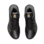 Giày cầu lông Lining Chen Long AYAS034-1