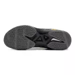 Giày cầu lông Lining Chen Long AYAS034-1