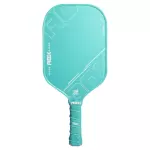 Vợt Pickleball Arronax AOX 1.1