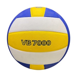 BÓNG CHUYỀN THĂNG LONG VB7000