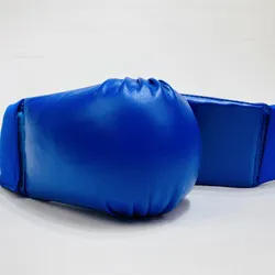 Găng Boxing Everlast 8Oz